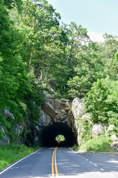 istock Shenandoah National Park - Virginia 1136312715
