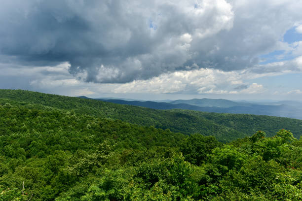istock Shenandoah National Park - Virginia 1136312907
