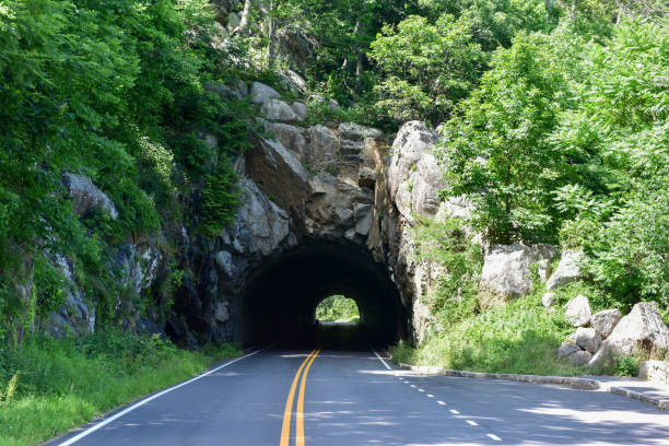 istock Shenandoah National Park - Virginia 1136314239