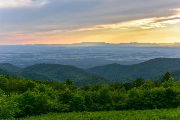 istock Shenandoah National Park - Virginia 1136314277