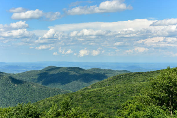 istock Shenandoah National Park - Virginia 1136314849