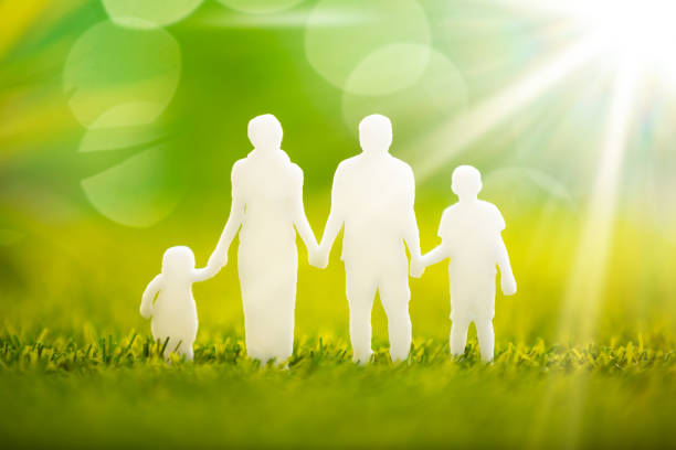 istock Paper Family Cut Out On Green Grass 1136317698