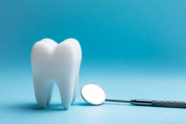 tand met tandheelkundige spiegel - teeth stockfoto's en -beelden