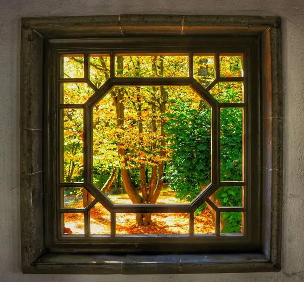 Autumn Window Ruhr-University Bochum