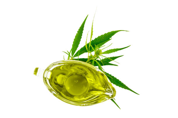 istock Oil hemp in sauceboat on top 1136321624