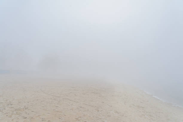 istock Tree on the river bank in the fog 1136322708