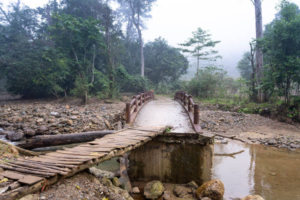 istock The bridge in the forest is damaged by flood water 1136324727