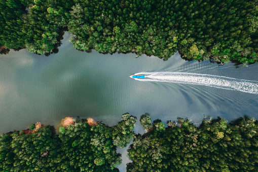 Scenic view of speedboat from above near the mangrove forest in Phang Nga, Thailand