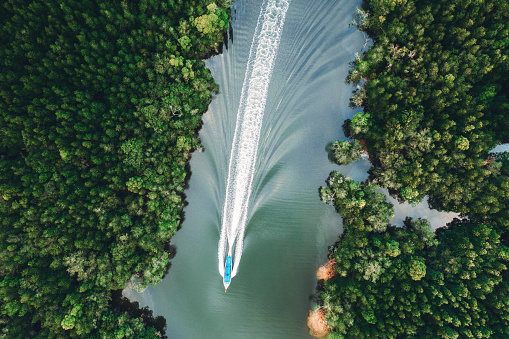 Scenic view of speedboat from above near the mangrove forest in Phang Nga, Thailand