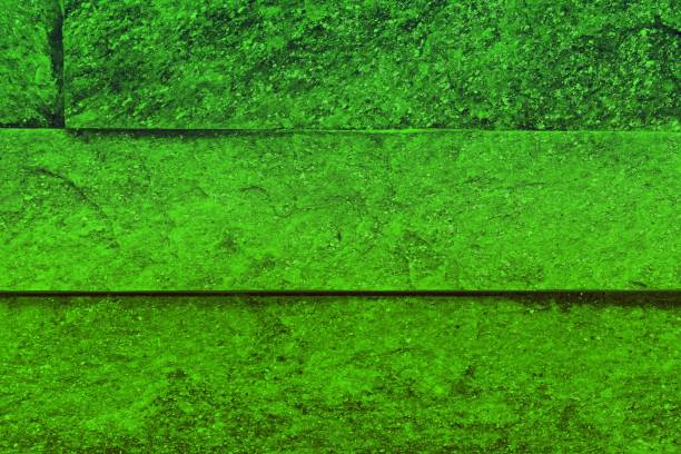 istock design aged green natural quartzite stone bricks texture for background use. 1136329183