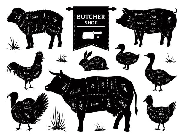 ilustrações de stock, clip art, desenhos animados e ícones de butcher diagrams. animal meat cuts, cow pig rabbit lamb rooster domestic animals silhouettes. vector retro butcher shop s - talhante ilustrações