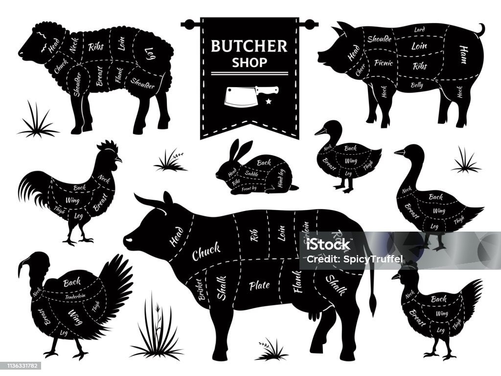 Butcher diagrams. Animal meat cuts, cow pig rabbit lamb rooster domestic animals silhouettes. Vector retro butcher shop s Butcher diagrams. Animal meat cuts, cow pig rabbit lamb rooster domestic animals silhouettes. Vector retro butcher shop s set Butcher's Shop stock vector