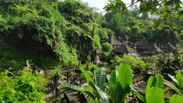 istock View of Gunung Kawi Temple in Bali 1136332336