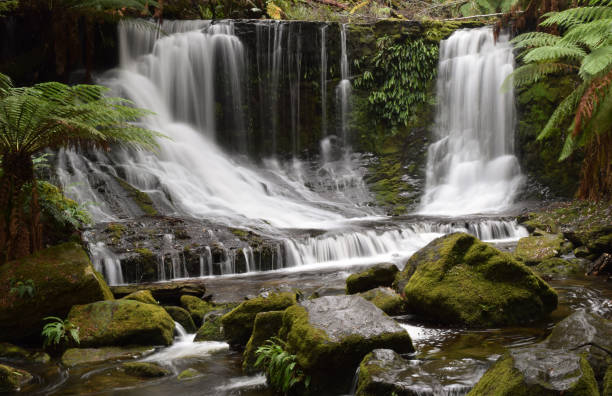 istock Horseshoe Falls, Mount Field National Park, Tasmania 1136337072