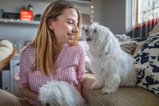istock Cute girl bonding with her dog 1136338245
