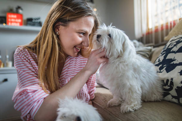 Foster owner bonding with a rescued dog