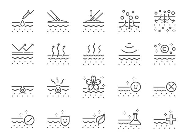 ilustraciones, imágenes clip art, dibujos animados e iconos de stock de conjunto de iconos de línea de piel. iconos incluidos como colágeno, belleza, cuidado de la piel, hidratación, natural y más. - antiarrugas