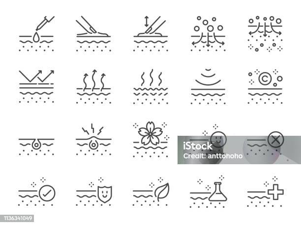 Jeu Dicônes De Ligne De Peau Inclus Des Icônes Comme Le Collagène Beauté Soins De La Peau Hydratant Naturel Et Plus Encore Vecteurs libres de droits et plus d'images vectorielles de Icône