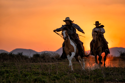 silhouette two cowboys ride with they horses under sunsetsilhouette two cowboys ride with they horses under sunsetsilhouette two cowboys ride with they horses under sunset