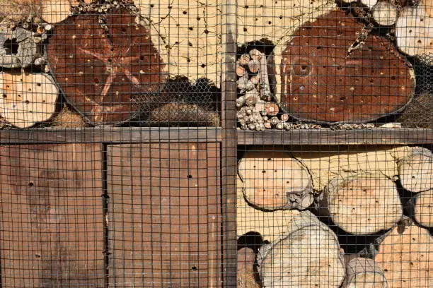 Photo of Wooden insect hotel for crawlers with stacked wood