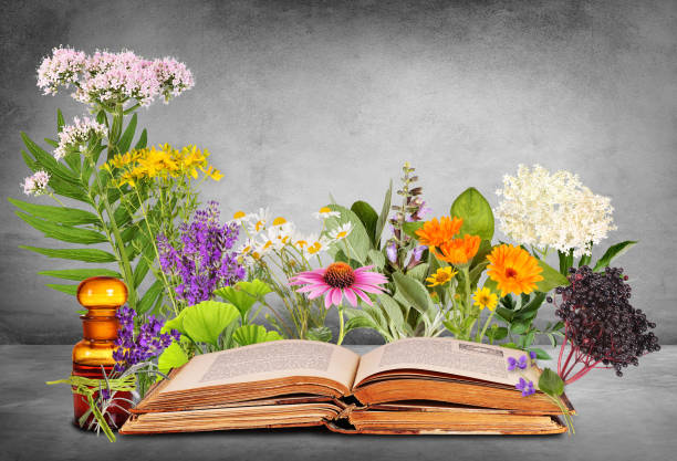 istock Medical plants with old books and glas bottle 1136344891