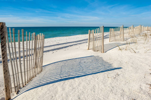 Empty white sandy beach Empty white sandy beach with fences,  Gulf of Mexico coast, Alabama, USA gulf coast states stock pictures, royalty-free photos & images