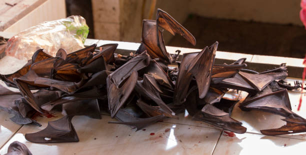 alas de murciélago vendidas como alimento - foto de stock