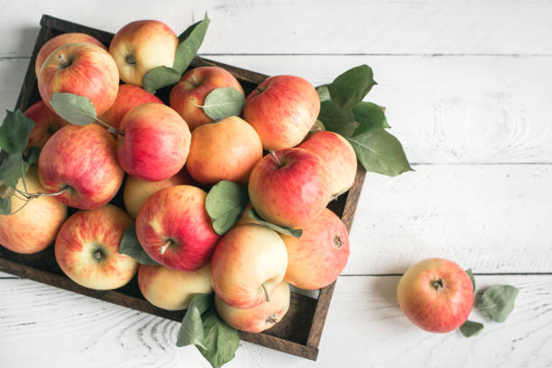 istock Red apples in wooden box 1136358416