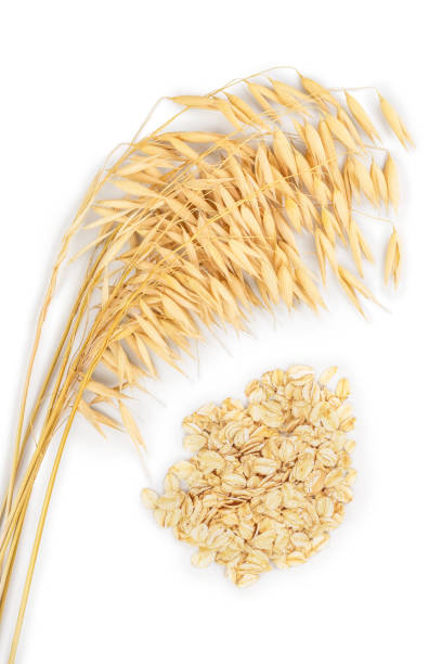 istock oat spike with oat flakes isolated on white background. Top view. Flat lay 1136361185
