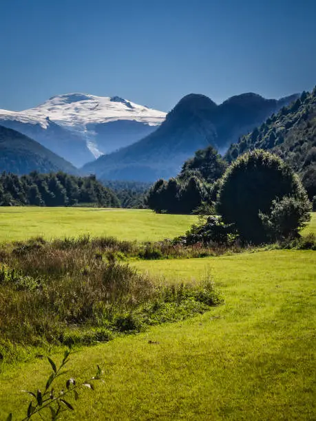 Landscape of the Pumalin National Park in the chilean Patagonia with the Michinmahiuda volcano in the background