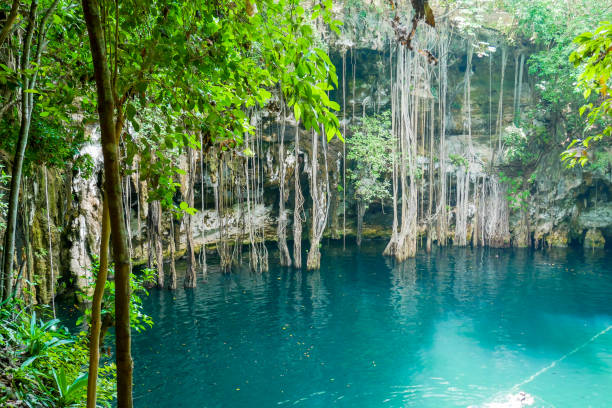 istock Natural Sinkhole at Yucatan 1136365932