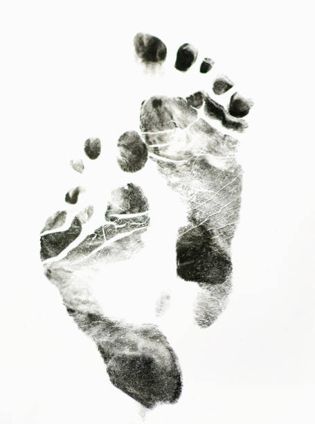 istock Imprint of  feet on white background 1136366130
