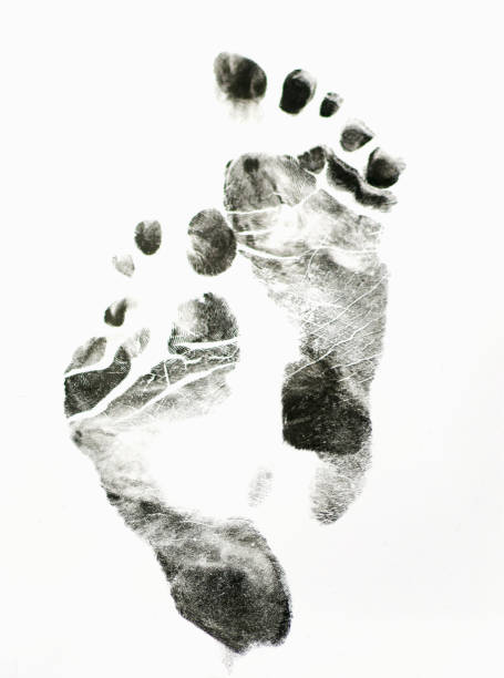 отпечаток ног на белом фоне - human foot baby black and white newborn стоковые фото и изображения