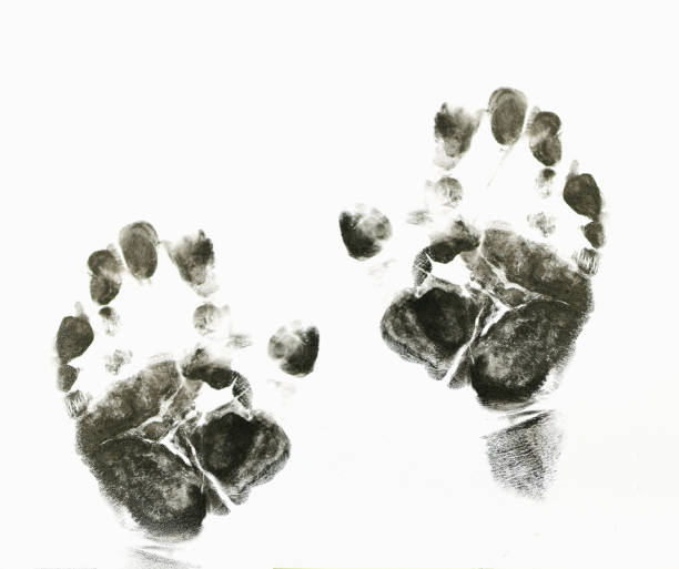 istock Imprint of hands on white background 1136366142