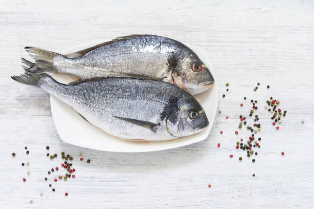 istock Fresh Royal Dorada on white Background. Healthy food concept. Top view, copy space. 1136366209