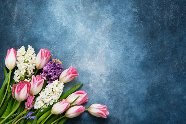 1000-birthday-flowers-pictures-download-free-images-on-unsplash