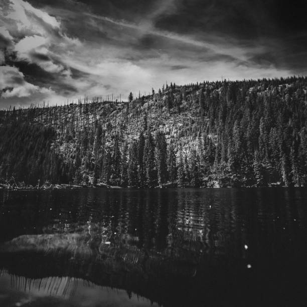 istock Prasily lake, Sumava national park. Dramatic black and white image. 1136368923