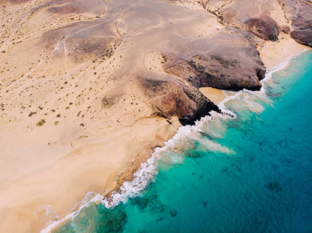 istock Aerial view of clean sandy beach by ocean 1136369029