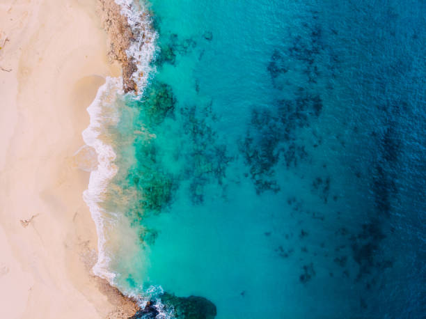 istock Aerial view of clean sandy beach by ocean 1136369030
