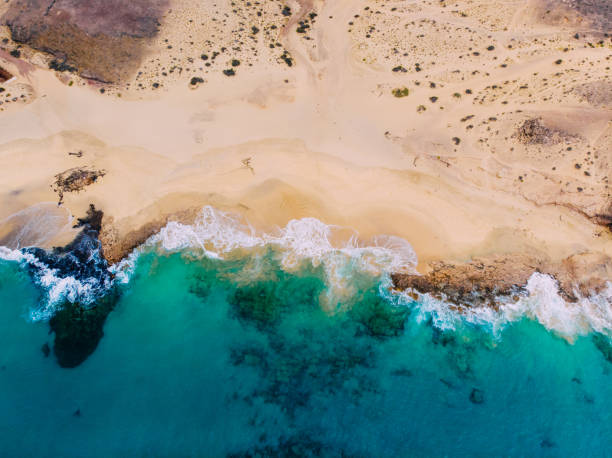 istock Aerial view of clean sandy beach by ocean 1136369037