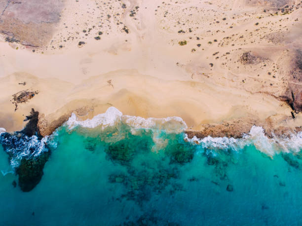 istock Aerial view of clean sandy beach by ocean 1136369044