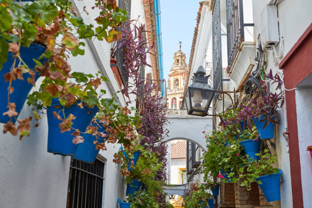 istock Street in Andalusia 1136369864