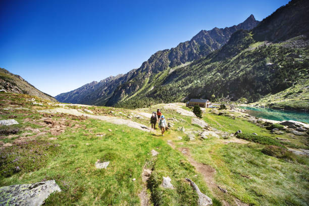 istock Family hiking in mountains 1136371003