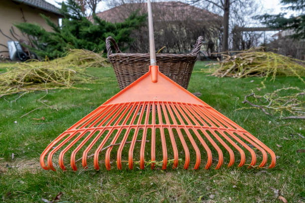 istock Orange rake next to a basket in the garden 1136372595