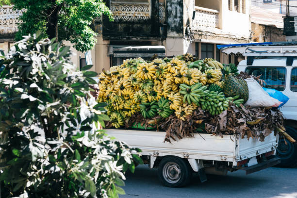 pick up with bananas in the streets of Stone town Zanzibar