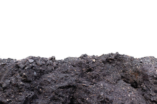 istock Side view of soil surface, texture isolated on white background 1136374206