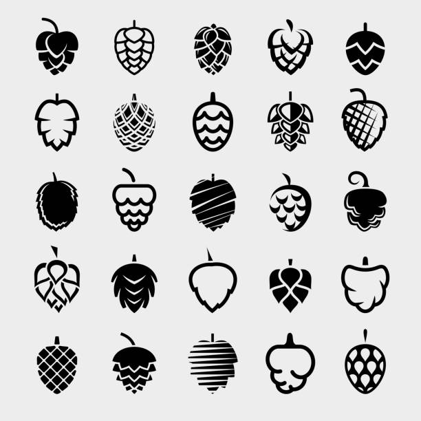 Hop set. Collection icon hops. Vector Collection hop set, edit size and color, vector hops crop illustrations stock illustrations