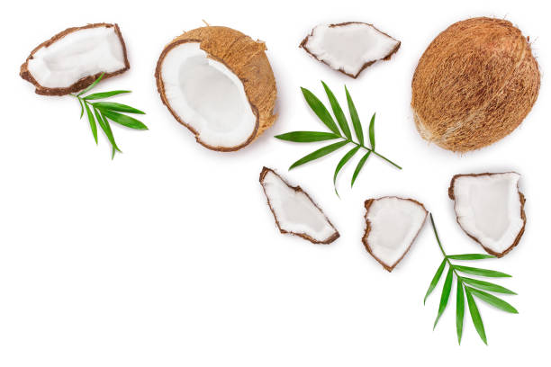 istock coconut with leaves isolated on white background with copy space for your text. Top view. Flat lay 1136378281