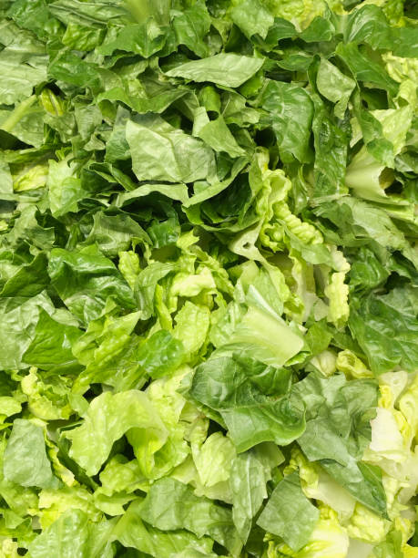 Romain Lettuce Chopped Romain Lettuce Salad Romaine stock pictures, royalty-free photos & images