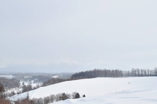 istock landscape of snow field on mountain 1136381043